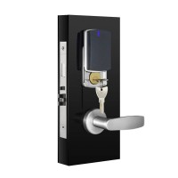 Chinese 46000 Square Meter Manufacture Oribta Hotel Rifd Keyless Door Lock